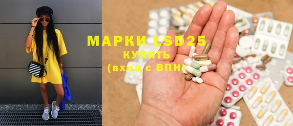 PSILOCYBIN Аркадак