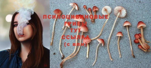 МДМА Арсеньев
