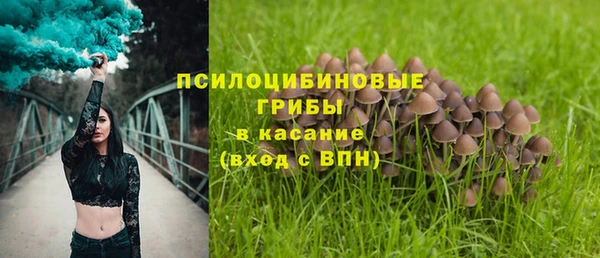 PSILOCYBIN Аркадак